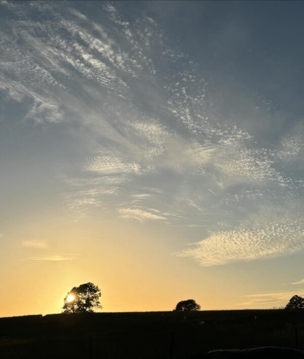 68bbe397-cea7-431b-9aca-25f18bb58a99