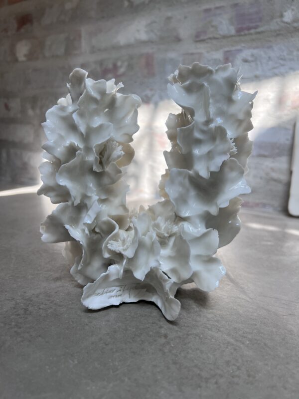 img_2996